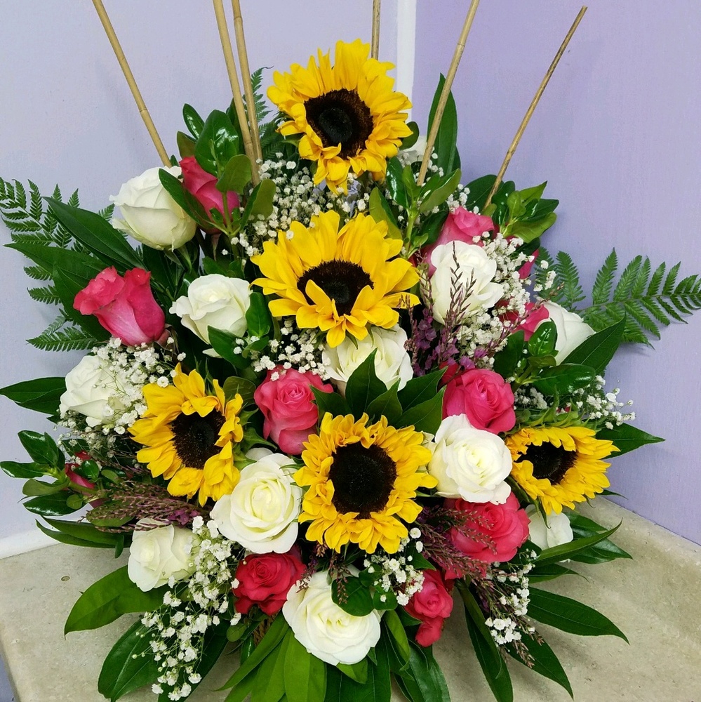 Meet your Posher, Dale